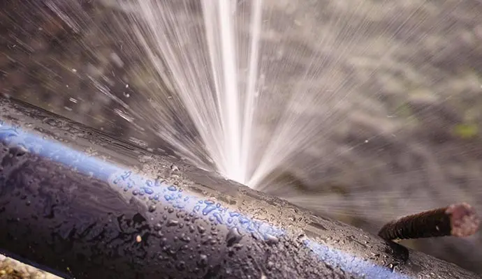 Burst pipe cleanup Everett WA