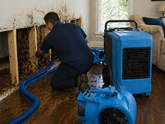 Water Restoration Pros technician drying a home in Everett WA