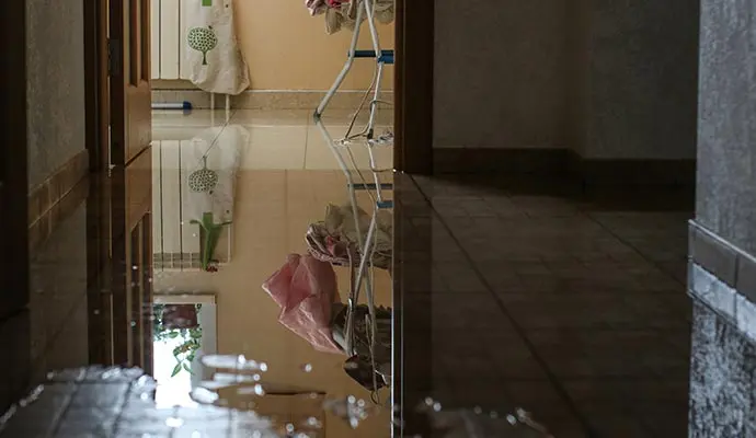 Flood damage cleanup Everett WA