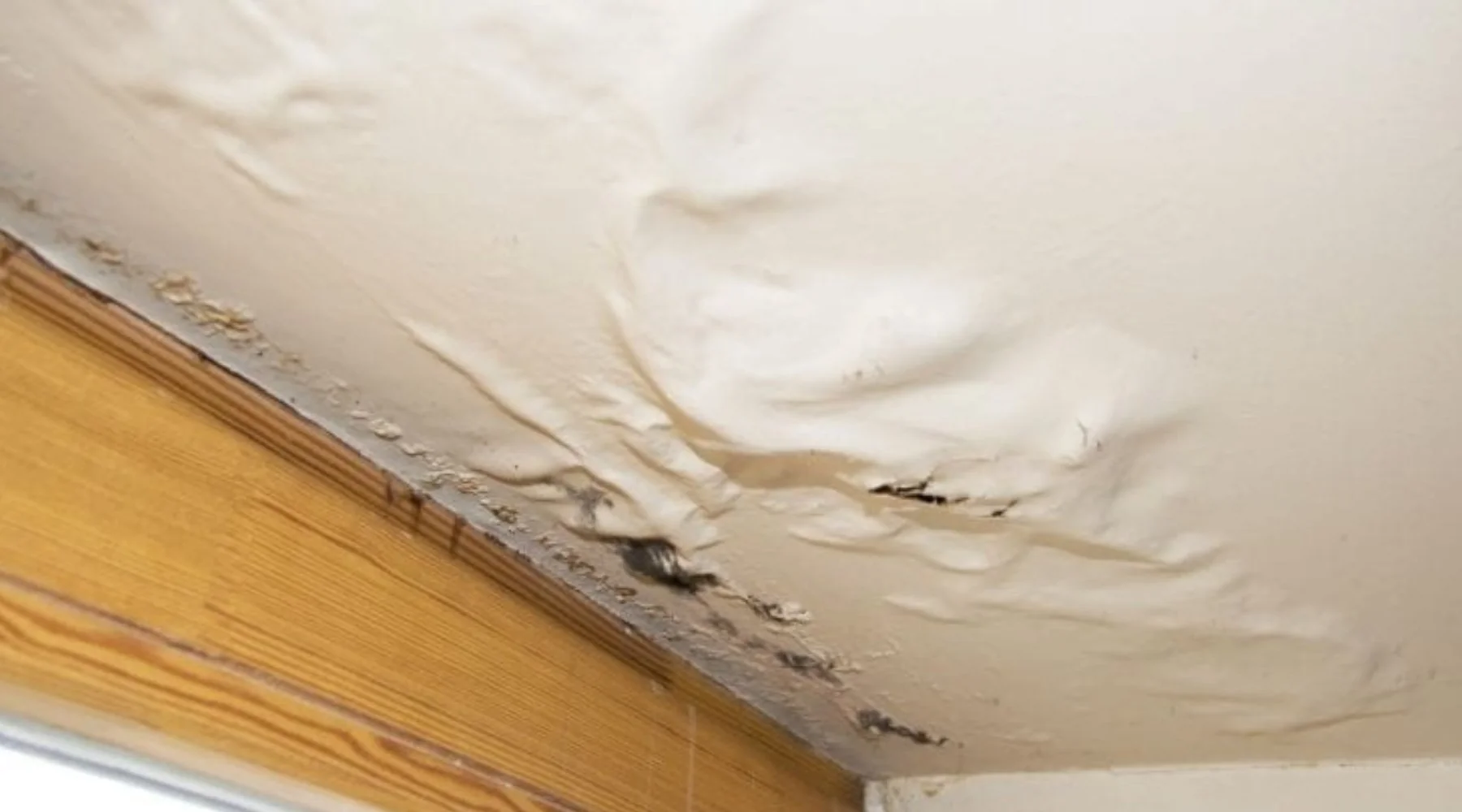 Roof leak repair Everett WA