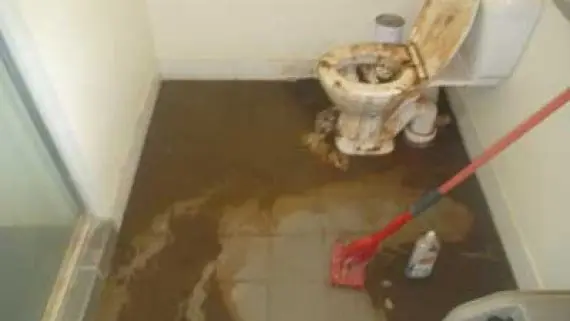 Sewage backup cleanup Everett WA