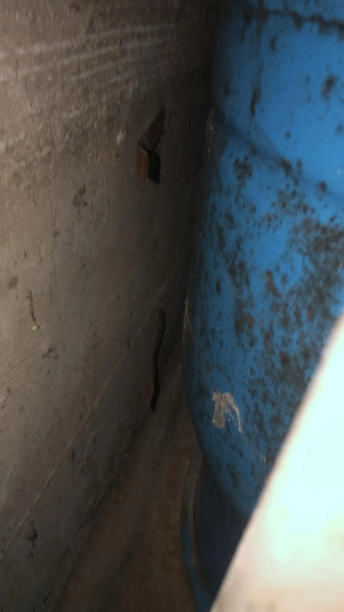Closet mold behind furniture Everett WA